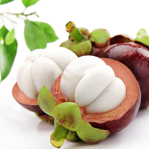 Mangosteen-Fruit delivery-Shenzhen Xiangrui Catering Management Co., Ltd.