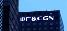 China Guangdong Nuclear Power-Partner